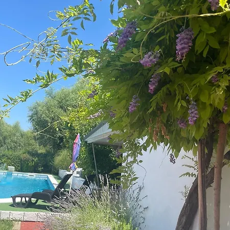 Kuca Magnolia